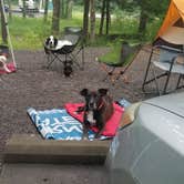 Review photo of Cades Cove Campground by Katrin M., June 30, 2021