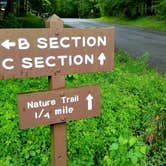 Review photo of Cades Cove Campground by Katrin M., June 30, 2021