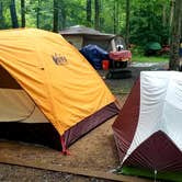 Review photo of Cades Cove Campground by Katrin M., June 30, 2021