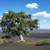 Review photo of Lava Flow Campground — Craters of the Moon National Monument by Nancy C., June 30, 2021