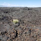 Review photo of Lava Flow Campground — Craters of the Moon National Monument by Nancy C., June 30, 2021