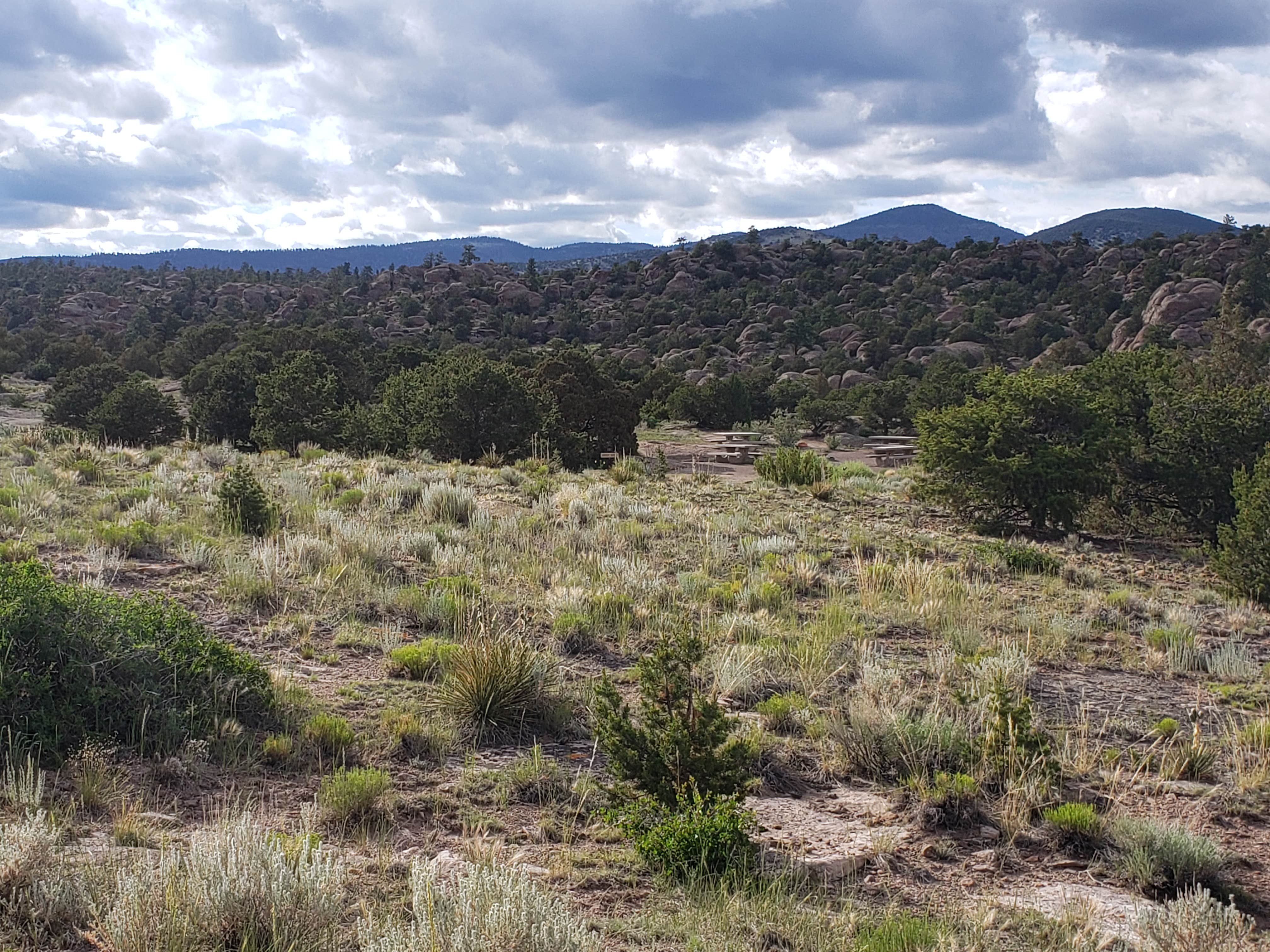 Camping near Saguache Camp and Lodge: Rio Grande National Forest Penitente Canyon Campground, Center, Colorado