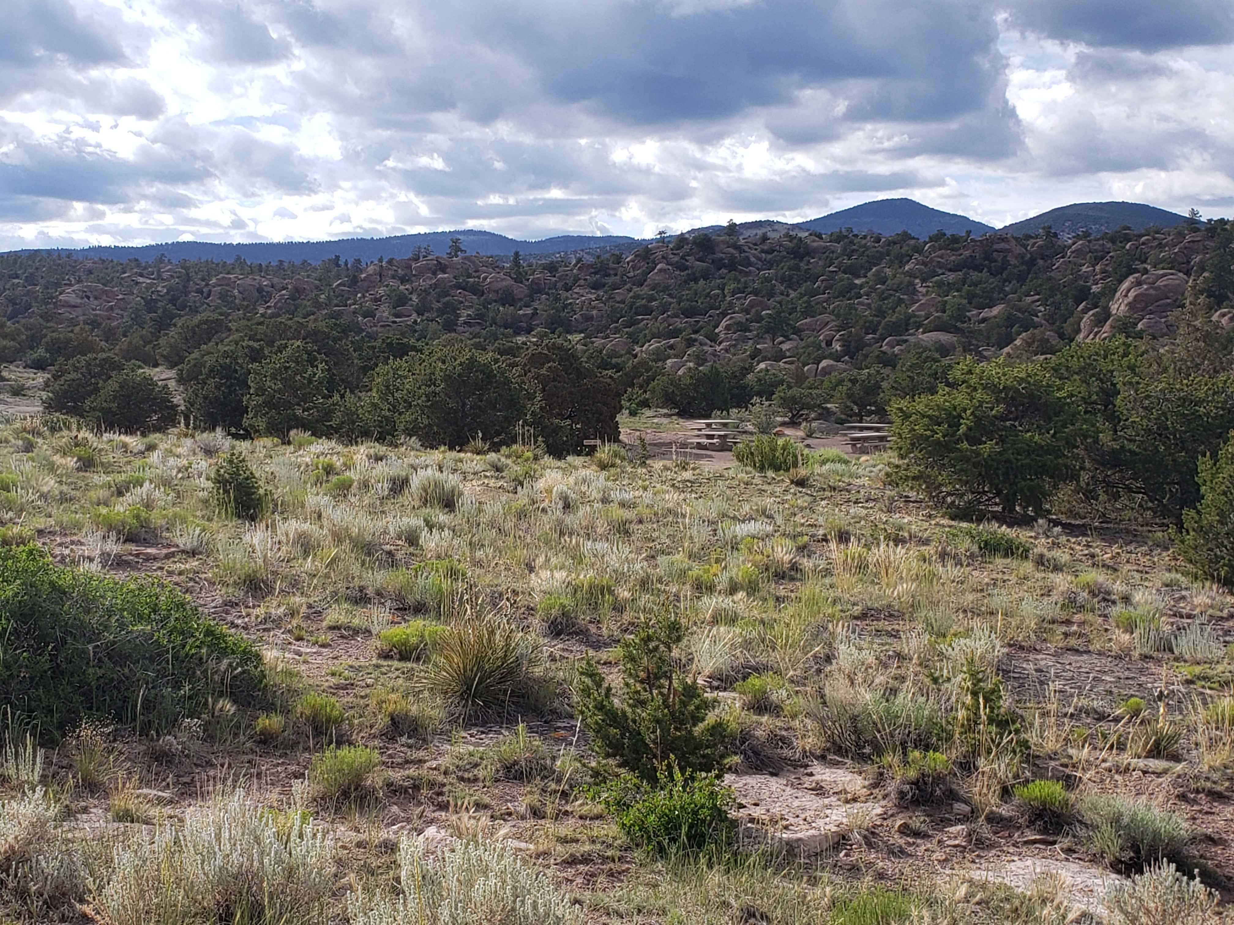 Camper submitted image from Rio Grande National Forest Penitente Canyon Campground - 1