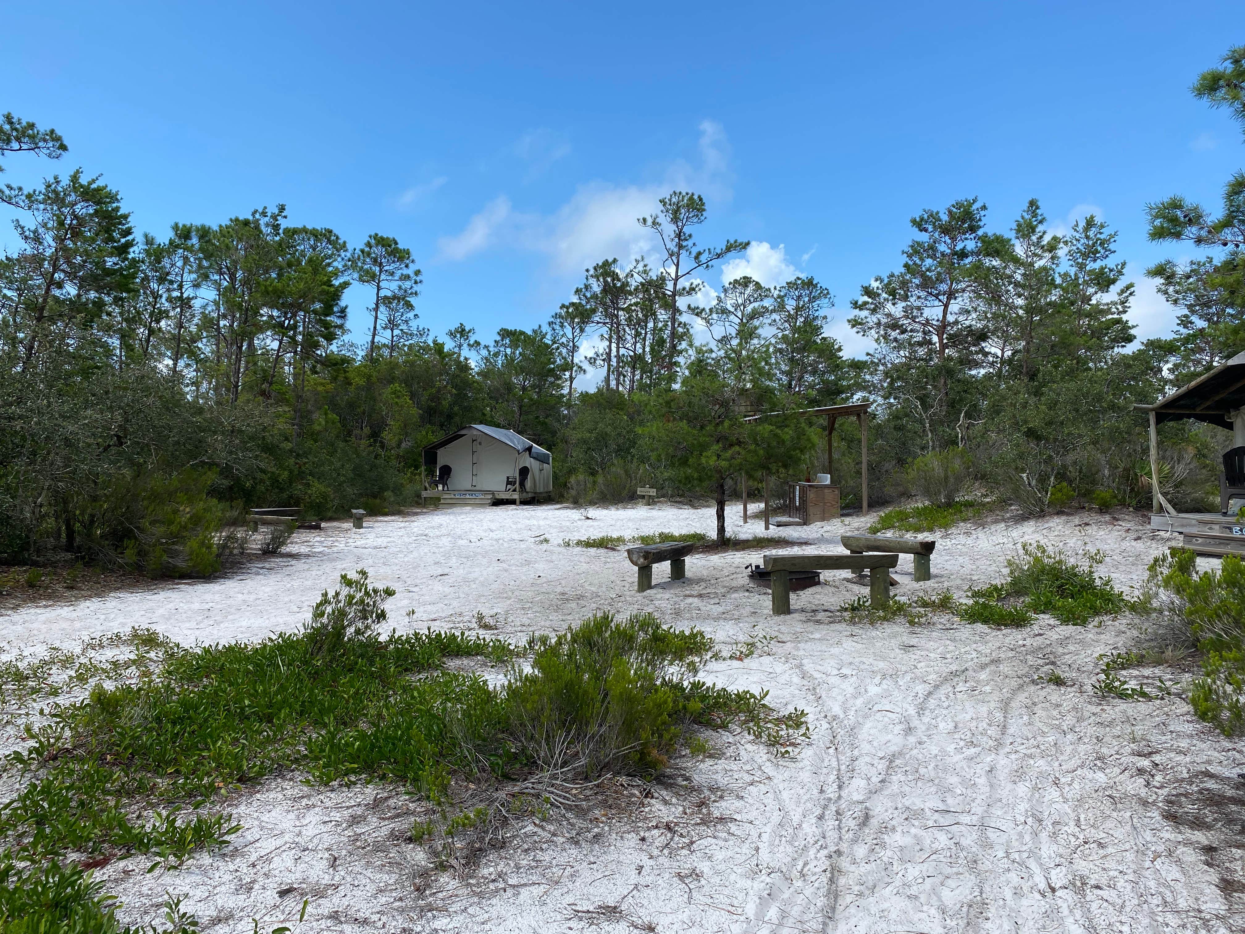 Camper submitted image from Gulf State Park Outpost Campsite - 4