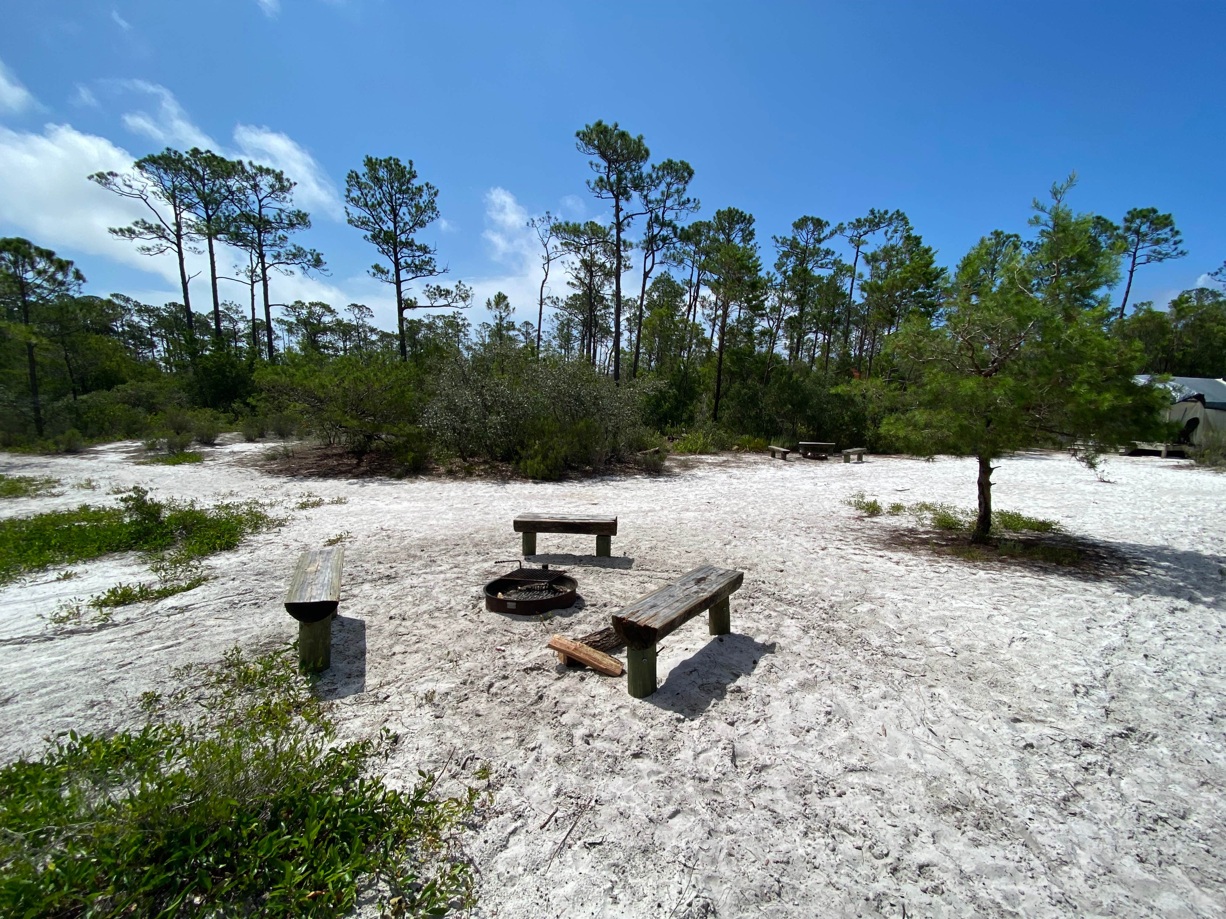 Camper submitted image from Outpost Campsites — Gulf State Park - 4