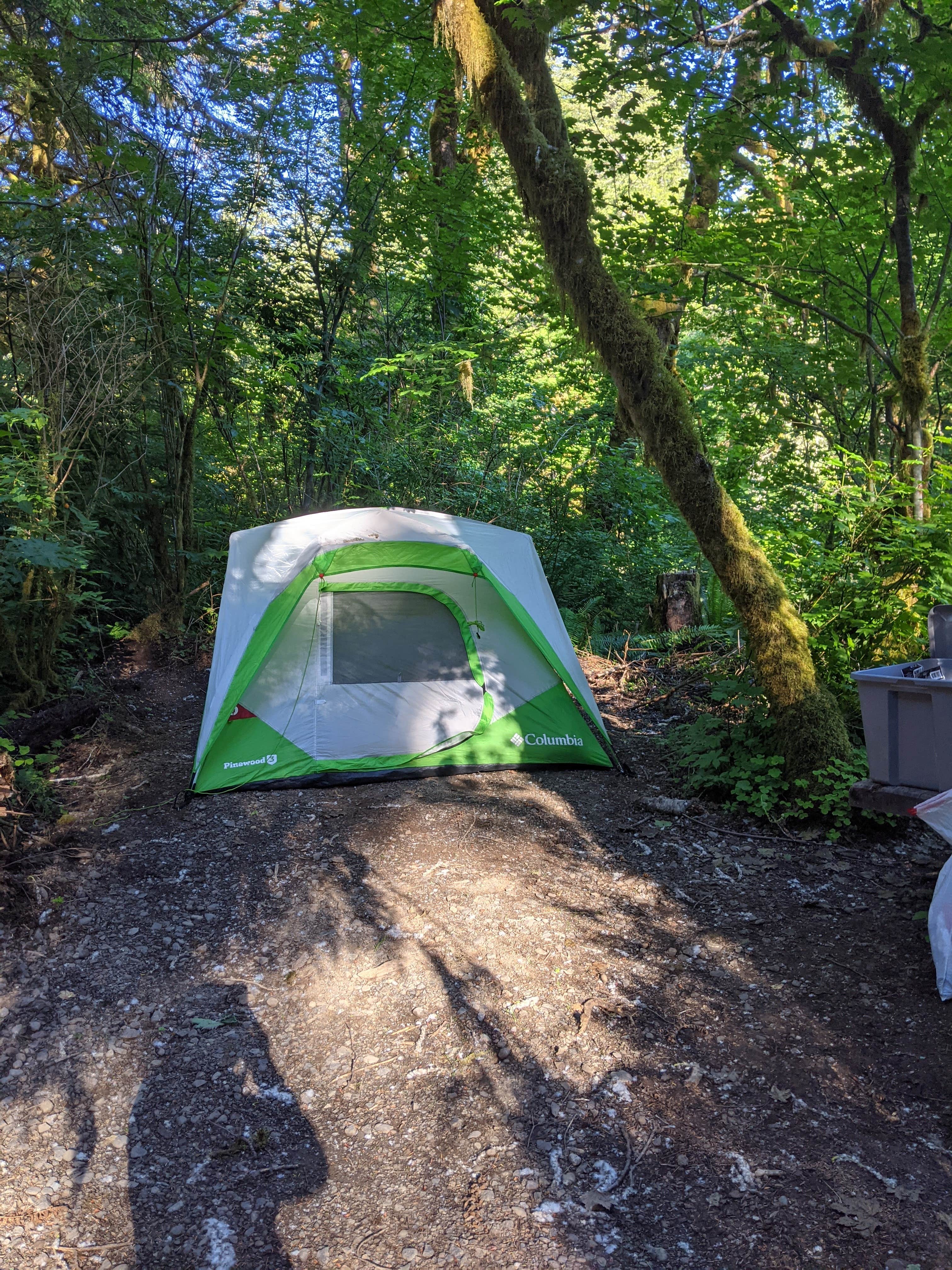 Kristina  C.'s photo at Klahowya Campground near Clallam Bay, WA