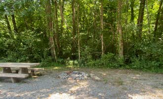 Camping near Redd Hollow: Turkey Bay Vehicle Area & Campground, Land Between the Lakes National Recreation Area, Kentucky