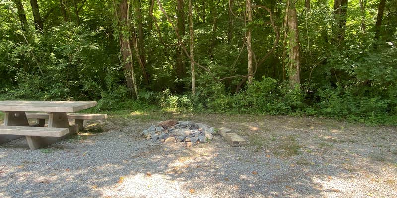 Camper submitted image from Turkey Bay Vehicle Area & Campground