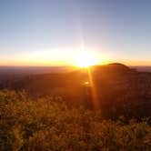 Review photo of Saddle Mountain (Kaibab NF) by Tammy G., June 30, 2021