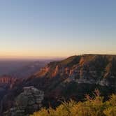 Review photo of Saddle Mountain (Kaibab NF) by Tammy G., June 30, 2021