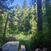 Review photo of Klahowya Campground by Kristina  C., June 30, 2021