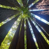 Review photo of Gualala River Redwood Park by Julia B., June 30, 2021