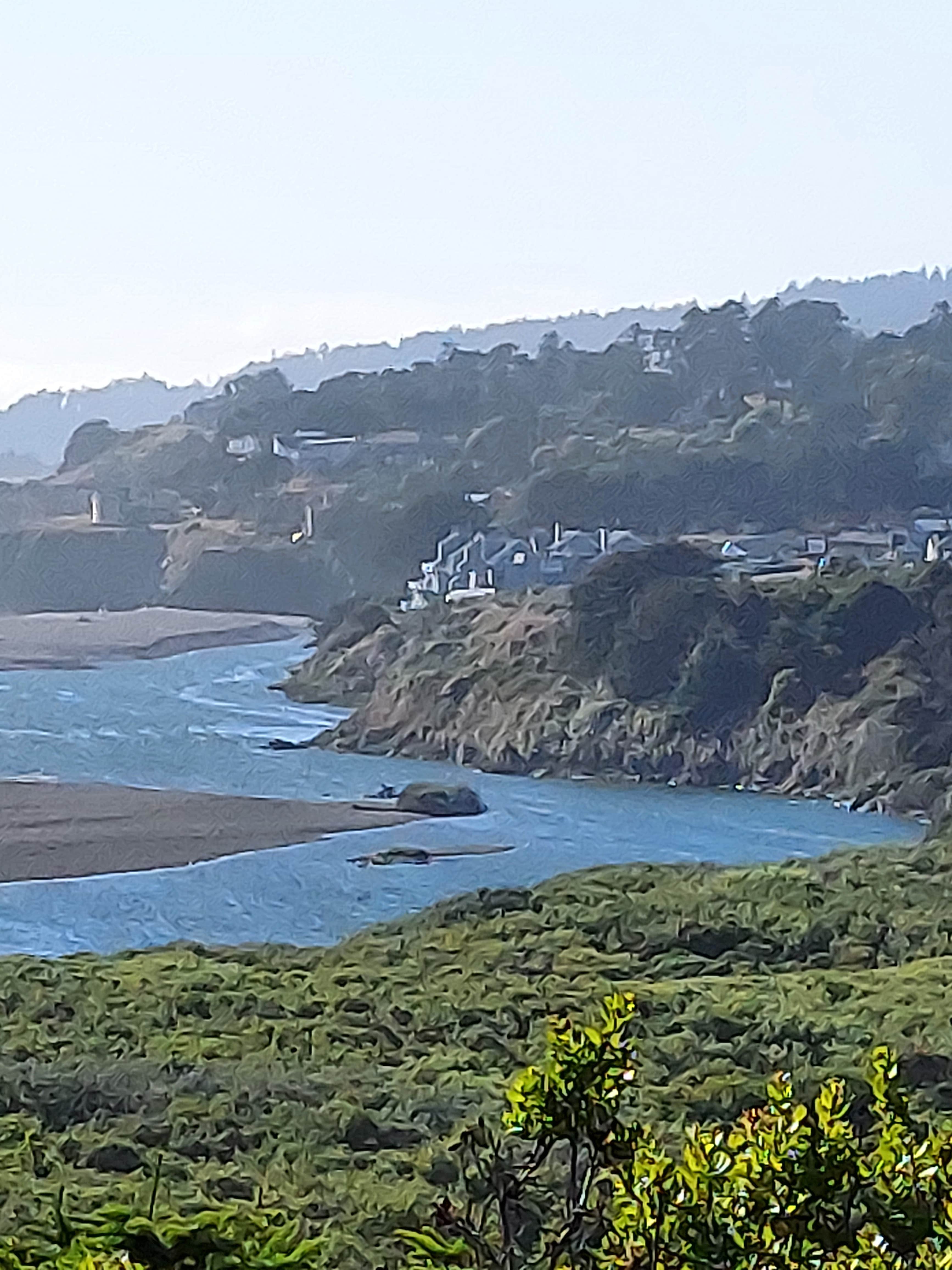 Julia B.'s photo of camping with pets at Gualala River Redwood Park near The Sea Ranch, CA