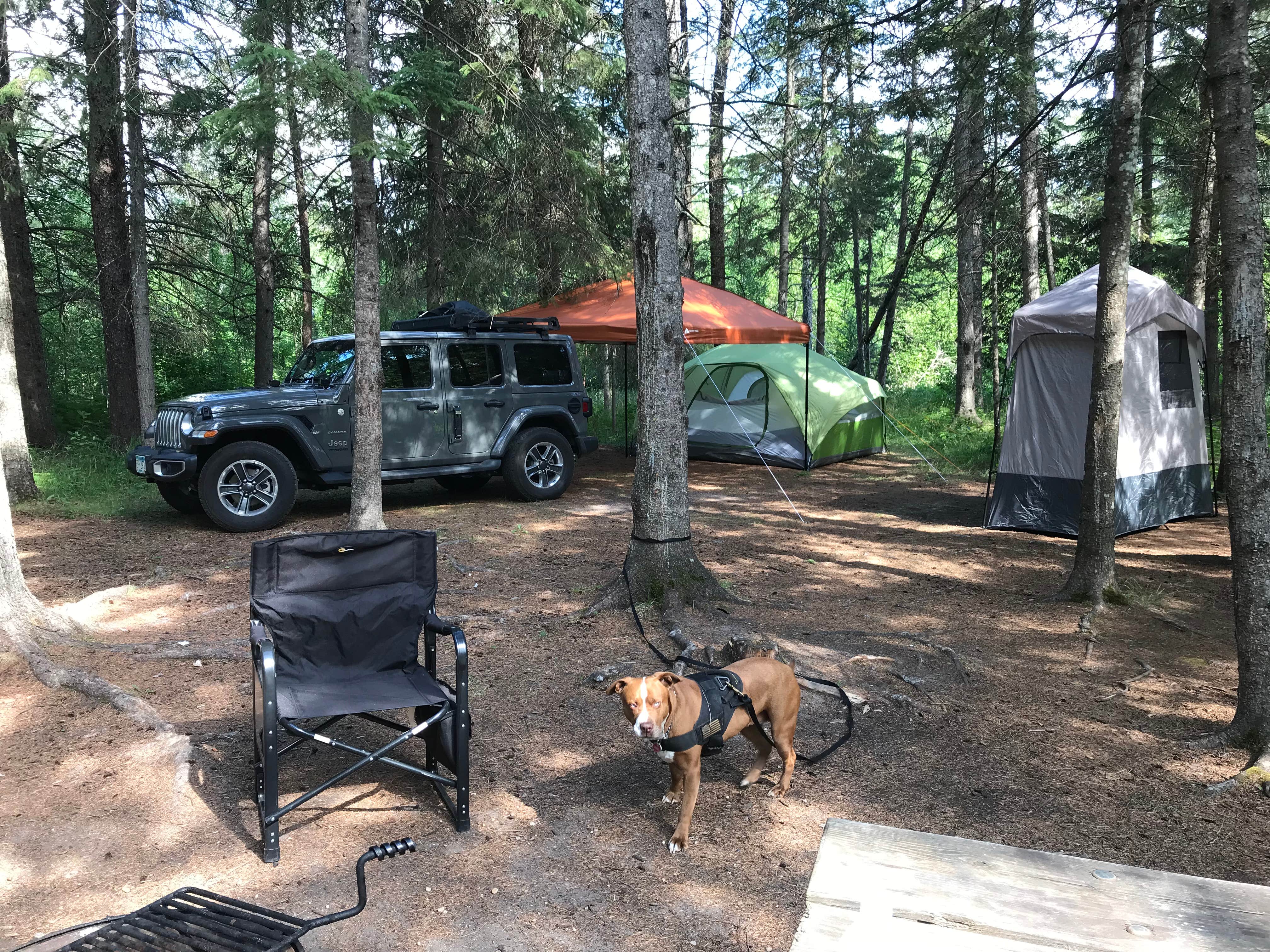 Rob P.'s photo of camping with pets at Hayes Lake State Park Campground near Roseau, MN