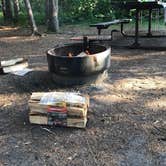 Review photo of Hayes Lake State Park Campground by Rob P., June 30, 2021