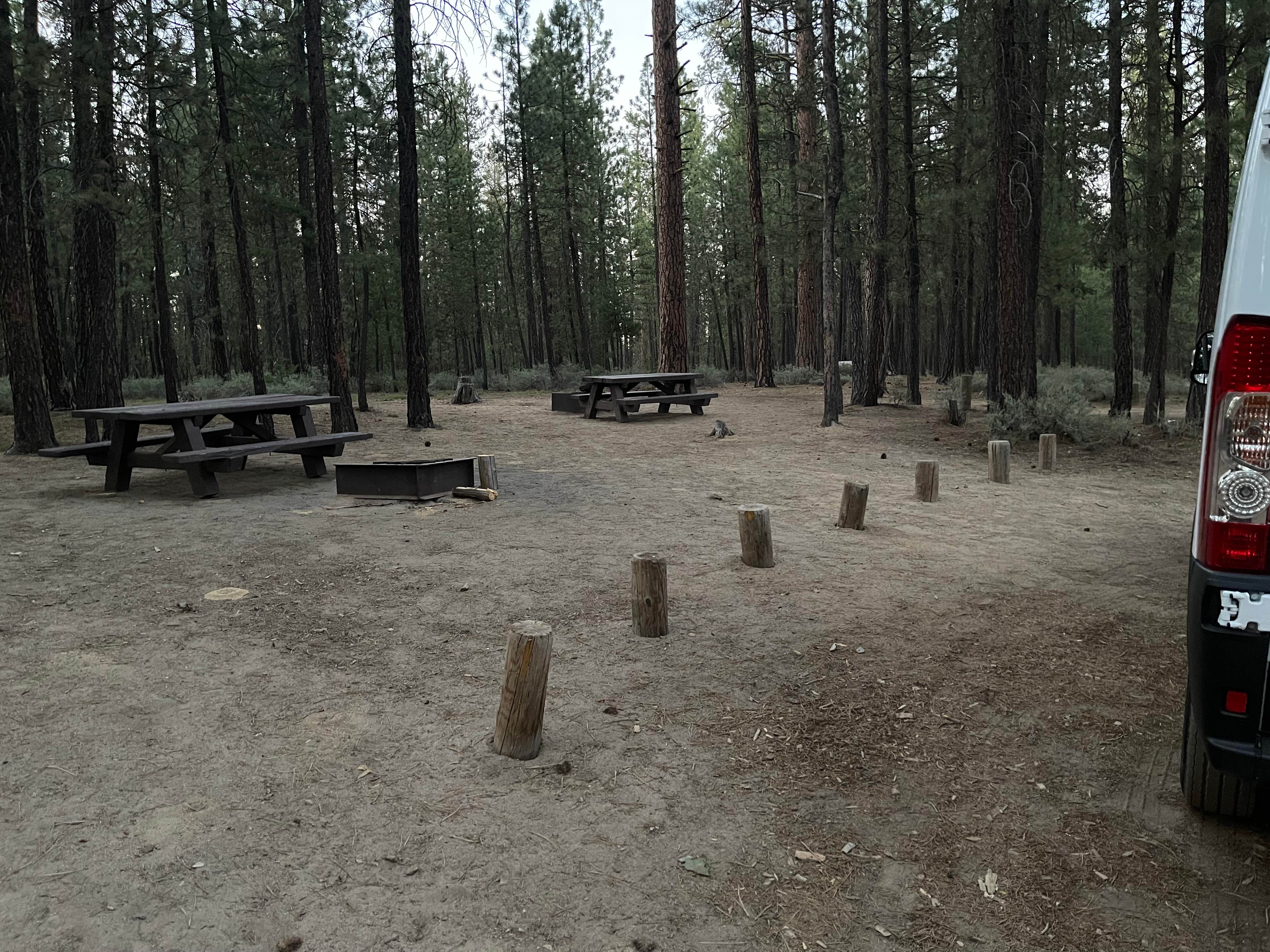 Camper submitted image from Wyeth Campground at the Deschutes River - 5