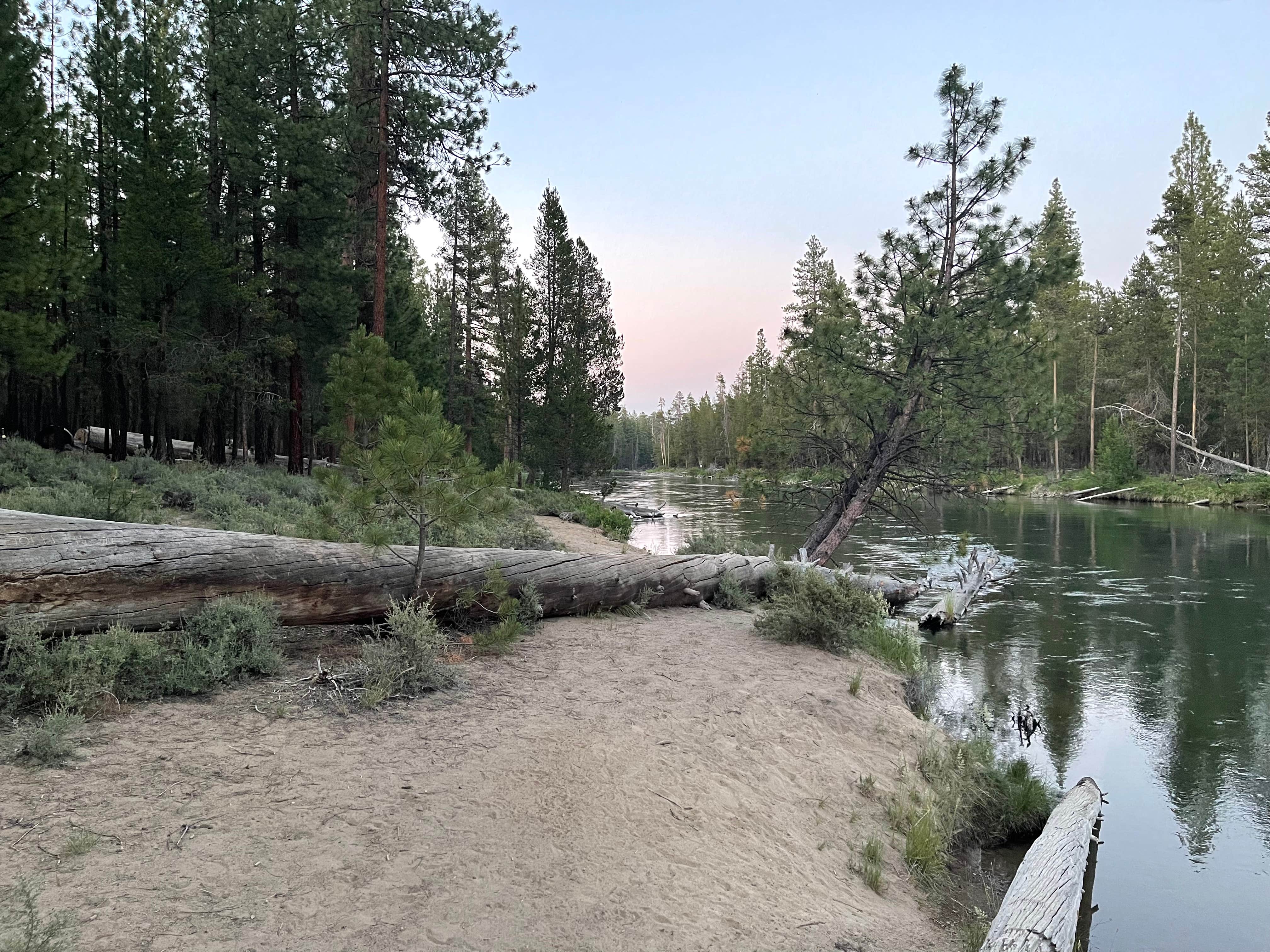 Camper submitted image from Wyeth Campground at the Deschutes River - 4