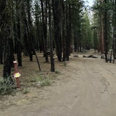 Review photo of Wyeth Campground at the Deschutes River by Marty J., June 30, 2021