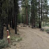 Review photo of Wyeth Campground at the Deschutes River by Marty J., June 30, 2021