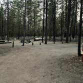 Review photo of Wyeth Campground at the Deschutes River by Marty J., June 30, 2021