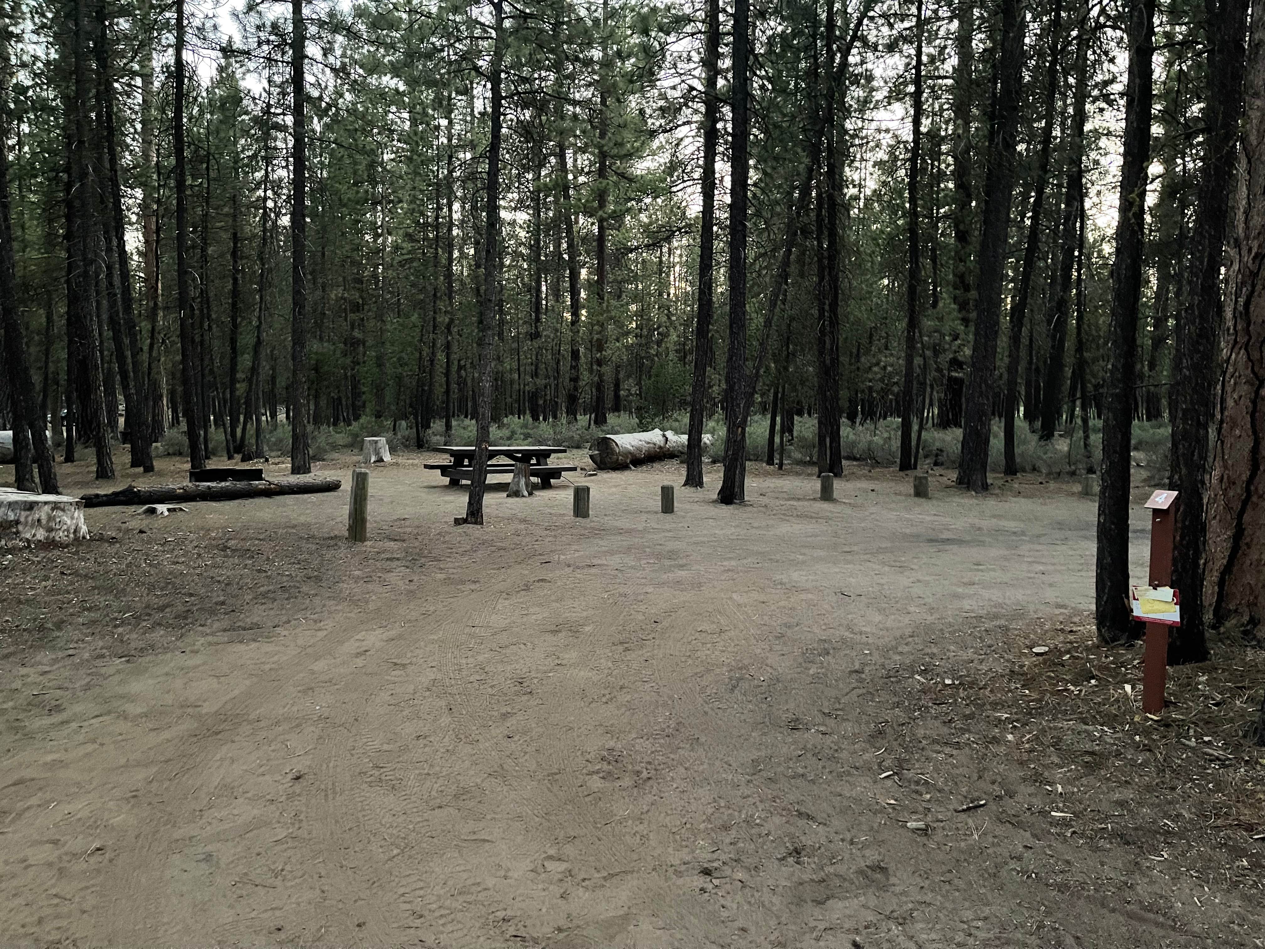 Camper submitted image from Wyeth Campground at the Deschutes River - 5