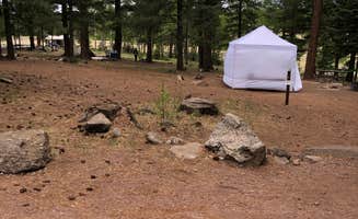 Candy P.'s photo of tent camping at Cutthroat near Reserve, NM