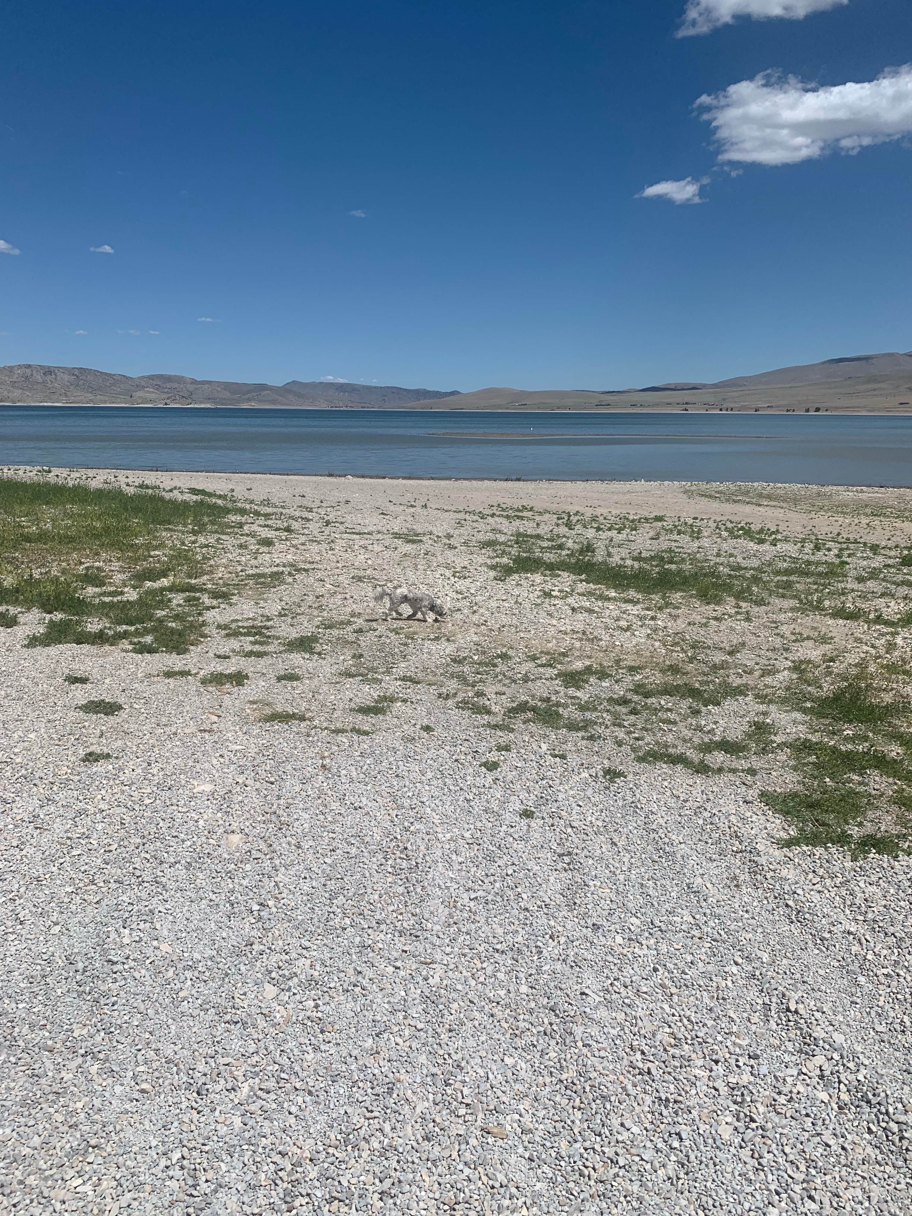 Camping near Hap Hawkins Campground: Lone Tree Campground, Dillon, Montana