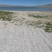 Review photo of Lone Tree Campground by Karla , June 30, 2021