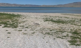 Camping near Henneberry House: Lone Tree Campground, Dillon, Montana