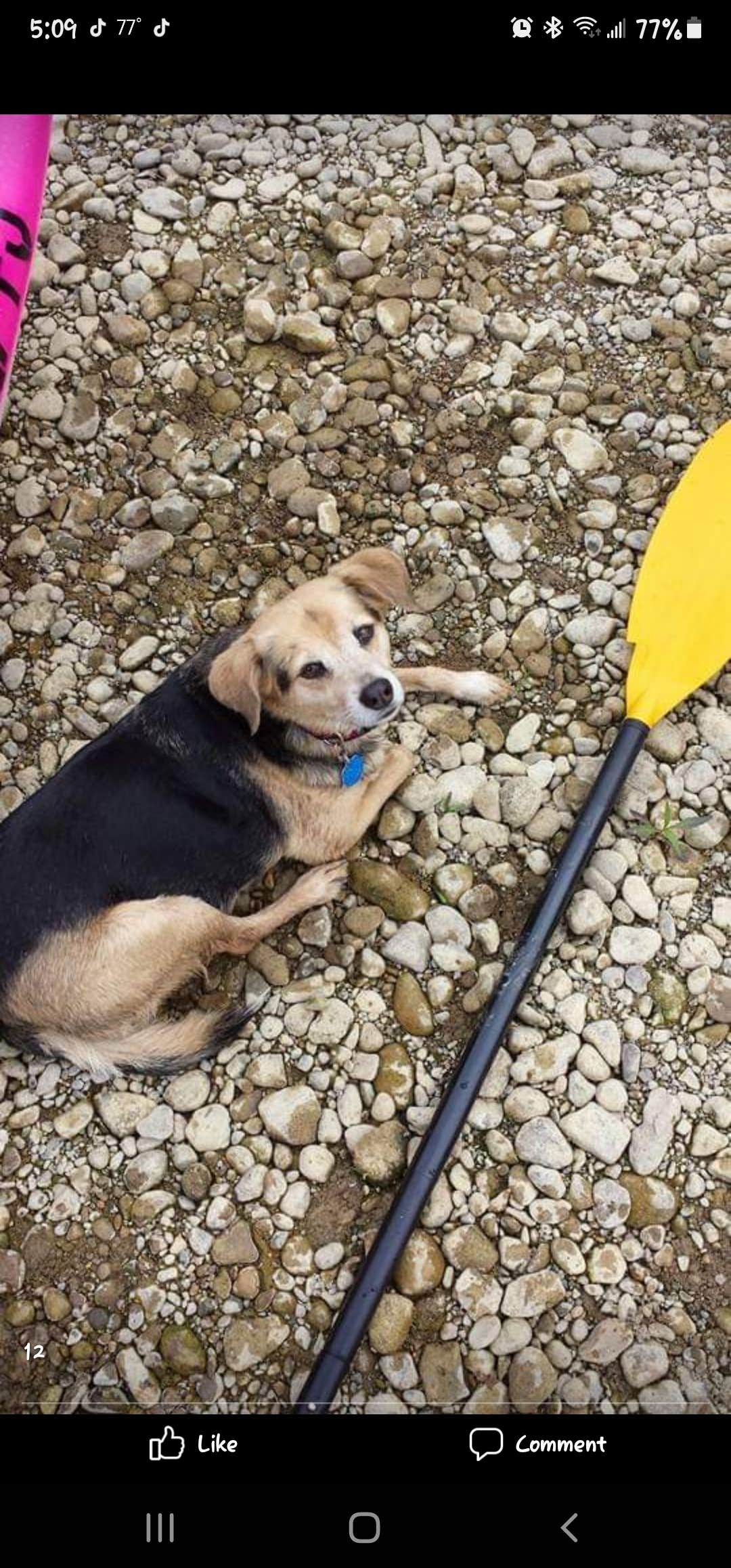 Camper-submitted photo at Morgan's Riverside Campground & Cabins near Blue Ash, OH