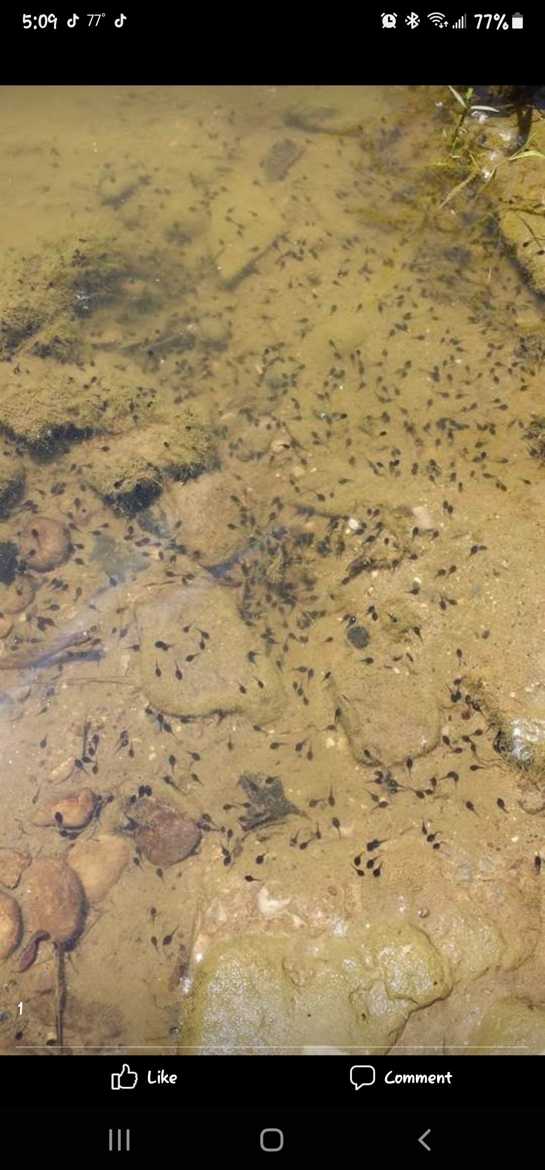 Camper-submitted photo at Morgan's Riverside Campground & Cabins near Blue Ash, OH