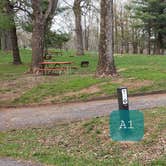 Review photo of Rocky Knob Campground — Blue Ridge Parkway by Jean C., June 30, 2021