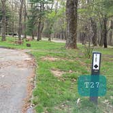 Review photo of Rocky Knob Campground — Blue Ridge Parkway by Jean C., June 30, 2021