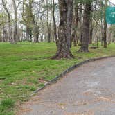 Review photo of Rocky Knob Campground — Blue Ridge Parkway by Jean C., June 30, 2021