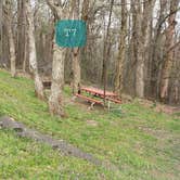 Review photo of Rocky Knob Campground — Blue Ridge Parkway by Jean C., June 30, 2021