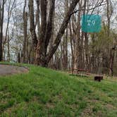 Review photo of Rocky Knob Campground — Blue Ridge Parkway by Jean C., June 30, 2021