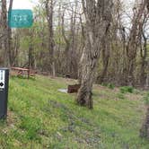 Review photo of Rocky Knob Campground — Blue Ridge Parkway by Jean C., June 30, 2021