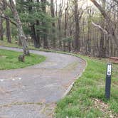 Review photo of Rocky Knob Campground — Blue Ridge Parkway by Jean C., June 30, 2021