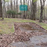 Review photo of Rocky Knob Campground — Blue Ridge Parkway by Jean C., June 30, 2021