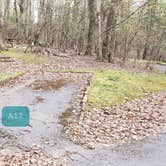 Review photo of Rocky Knob Campground — Blue Ridge Parkway by Jean C., June 30, 2021