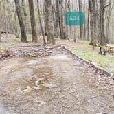 Review photo of Rocky Knob Campground — Blue Ridge Parkway by Jean C., June 30, 2021