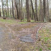 Review photo of Rocky Knob Campground — Blue Ridge Parkway by Jean C., June 30, 2021