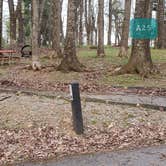 Review photo of Rocky Knob Campground — Blue Ridge Parkway by Jean C., June 30, 2021