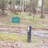 Review photo of Rocky Knob Campground — Blue Ridge Parkway by Jean C., June 30, 2021