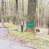 Review photo of Rocky Knob Campground — Blue Ridge Parkway by Jean C., June 30, 2021