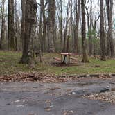 Review photo of Rocky Knob Campground — Blue Ridge Parkway by Jean C., June 30, 2021