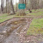 Review photo of Rocky Knob Campground — Blue Ridge Parkway by Jean C., June 30, 2021