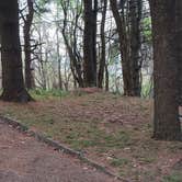 Review photo of Rocky Knob Campground — Blue Ridge Parkway by Jean C., June 30, 2021