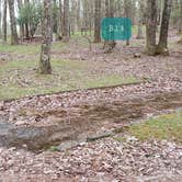 Review photo of Rocky Knob Campground — Blue Ridge Parkway by Jean C., June 30, 2021