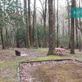 Review photo of Rocky Knob Campground — Blue Ridge Parkway by Jean C., June 30, 2021